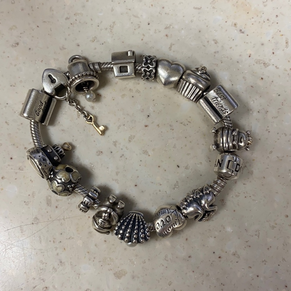 Pandora bracelet with charms